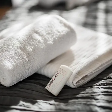 Wegierska Luxury Loft Wawelofts Apartment Krakau