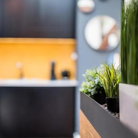 Apartamento Wegierska Luxury Loft Wawelofts *