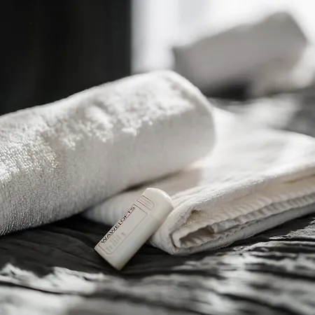 Wegierska Luxury Loft Wawelofts Cracovia