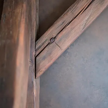 Wegierska Luxury Loft Wawelofts *